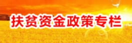 扶贫资金政策专栏 