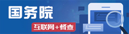 国务院互联网＋督察